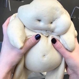 Meet your Posher, Maia